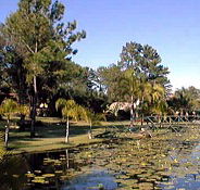 Twin Lakes Hotel - Accommodation Cooktown