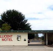 Millicent Motel - Accommodation Cooktown