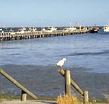 Seaview Motel and Holiday Units - Accommodation Cooktown