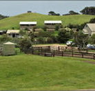 Ace Hi Riding Ranch - Accommodation Cooktown