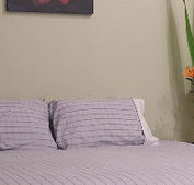 Stingo Hotel - Accommodation Cooktown