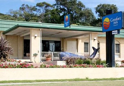 Comfort Inn Albany - Accommodation Cooktown 0