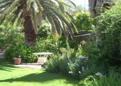 Nthaba Cottage - Accommodation Cooktown 0