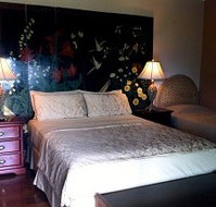 Daintree Manor - Accommodation Cooktown