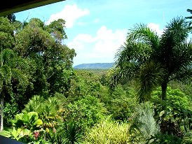 Daintree Manor - Accommodation Cooktown 3
