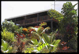 Daintree Manor - Accommodation Cooktown 5