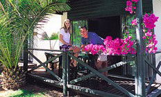 Desert Palms Resort - Accommodation Cooktown 3