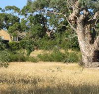 Wings Barossa Bird and Bush Retreat - Accommodation Cooktown