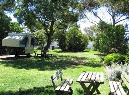 Millicent Hillview Caravan Park - Accommodation Cooktown 3