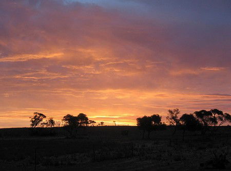 Willangi Bush Escapes - Accommodation Cooktown 1