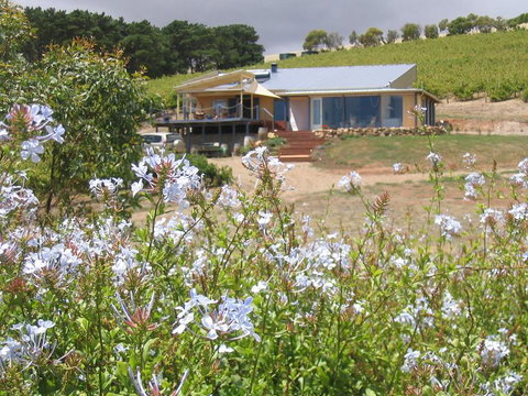 The Blue Grape Vineyard Accommodation - Accommodation Cooktown 0
