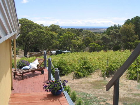 The Blue Grape Vineyard Accommodation - Accommodation Cooktown 1