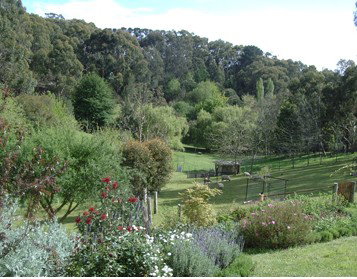 Lorikeet Lane B&B - Accommodation Cooktown 1