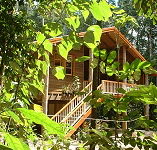 Rivers Edge Rainforest Retreat - Accommodation Cooktown