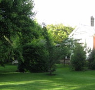 Oakdene Heritage Accommodation - Accommodation Cooktown