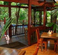 Daintree Wilderness Lodge - Accommodation Cooktown
