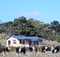 Marrawah Beach House - Accommodation Cooktown