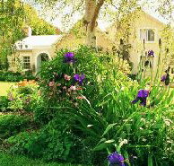 Panshanger - Accommodation Cooktown