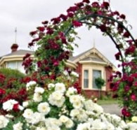 Golden Embers Apartments and B and B - Accommodation Cooktown