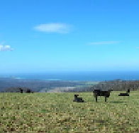St Marys Seaview Farm - Accommodation Cooktown