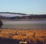 Fonthill - Accommodation Cooktown