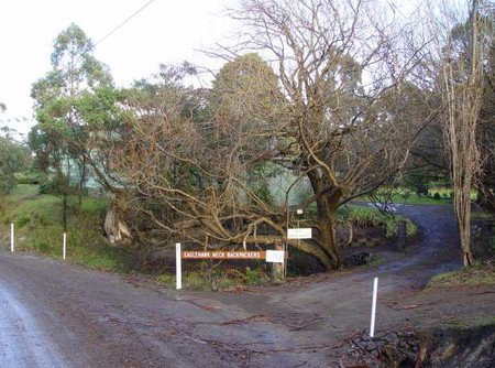 Eaglehawk Neck Backpackers - Accommodation Cooktown 1