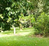 Kingfisher Park Birdwatchers Lodge - Accommodation Cooktown