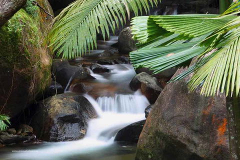 Daintree Secrets (Award Winning Retreat) - Accommodation Cooktown 1