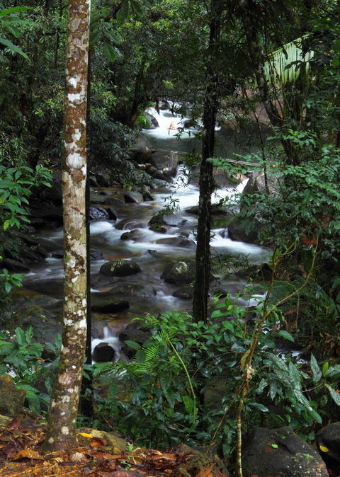 Daintree Secrets (Award Winning Retreat) - Accommodation Cooktown 2