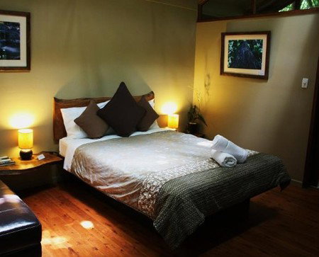 Daintree Wilderness Lodge - Accommodation Cooktown 2