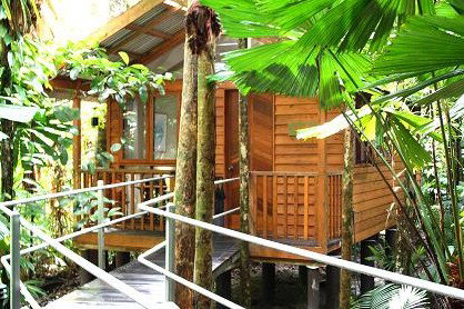 Daintree Wilderness Lodge - Accommodation Cooktown 3