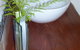 Bellbird Cottage Bed And Breakfast - thumb 0