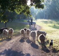Brooloo Park - Accommodation Cooktown