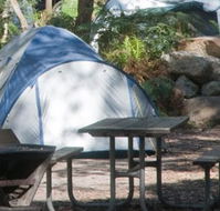 Booderee National Park - Accommodation Cooktown