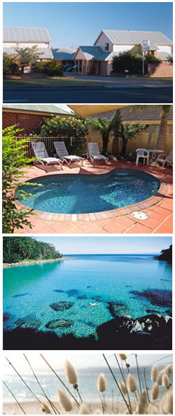 Dolphin Shores Motor Inn - Accommodation Cooktown 1