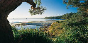 Dolphin Shores Motor Inn - Accommodation Cooktown 2