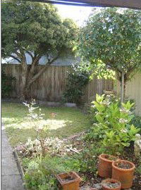 Rose Cottage Bed & Breakfast - Accommodation Cooktown 1