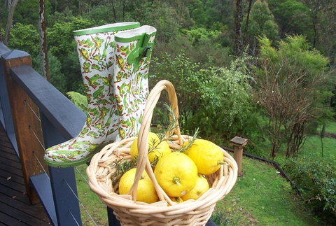 Bellbird Cottage Bed And Breakfast - Accommodation Cooktown 4