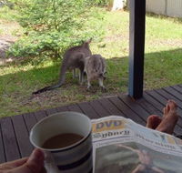 Bush and Bay Cottage - Accommodation Cooktown