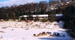Cooba Holiday Motel - Accommodation Cooktown 2