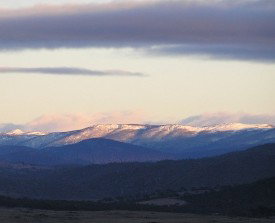 Snowy View Cottage - Accommodation Cooktown 2