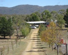Snowy Vineyard Cottage - Accommodation Cooktown 2