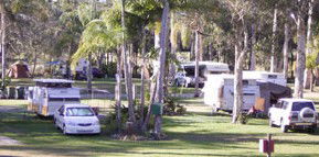 Brigadoon Holiday Park - Accommodation Cooktown 2