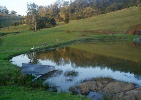 Barkeldine Farm Country Retreat - Accommodation Cooktown 0