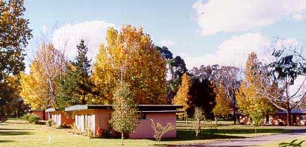 Castlereagh Village Holiday Units - Accommodation Cooktown 4