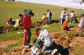Banderra B And B Farmstay - Accommodation Cooktown 0