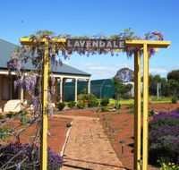 Lavendale Farmstay and Cottages - Accommodation Cooktown