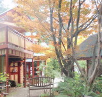 Como Cottage Accommodation - Accommodation Cooktown