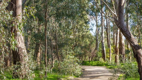 Time Out Holiday Park - Accommodation Cooktown 1