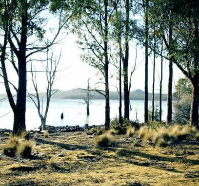 Blue Lake Lodge - Accommodation Cooktown 5